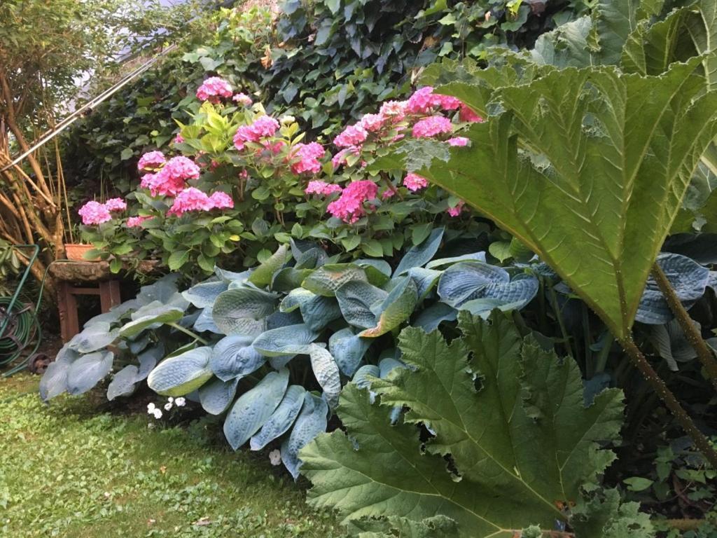 Le Pont-de-Beauvoisin Cote Jardin, Chambres D'Hotes B&B מראה חיצוני תמונה